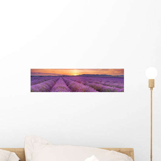 Sunrise over Fields Lavender Wall Decal