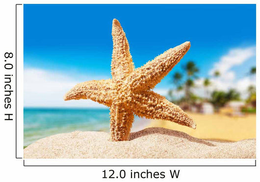 Florida Wall Decal