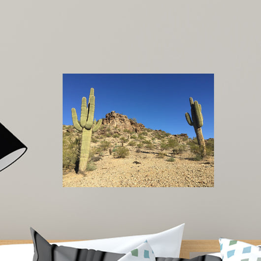 Hike Desert Wall Decal Design 2