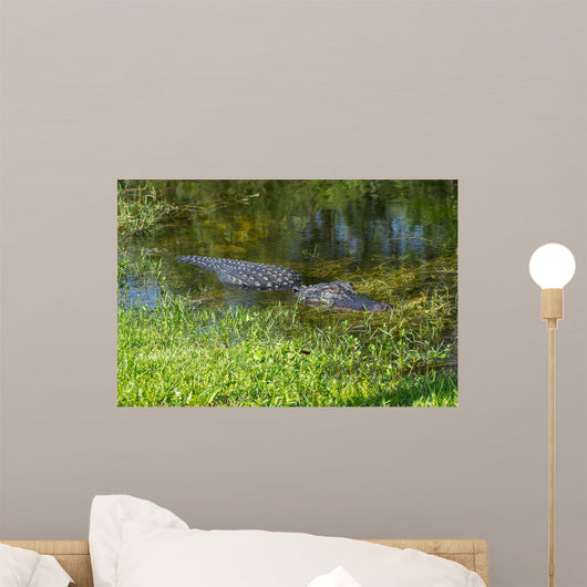 American Alligator Wall Decal