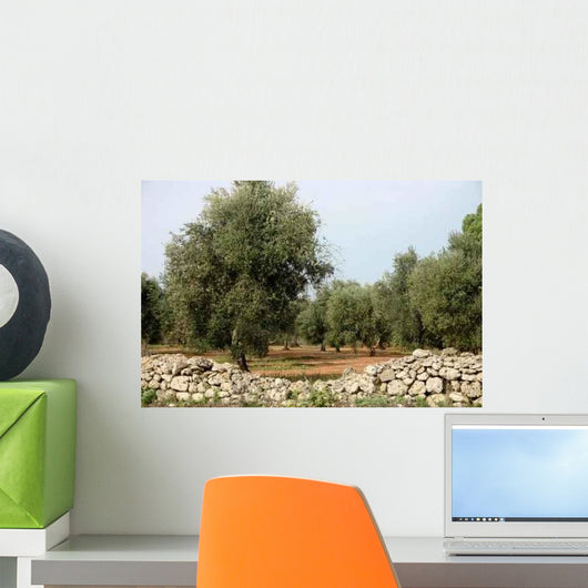 Olive Trees Wall Decal Design 2