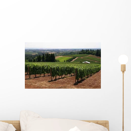 Vineyard Covered Hillside Wall Decal