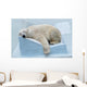 Sleepy Polar Bear Wall Decal