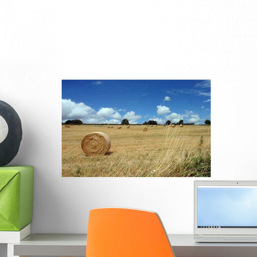 Campaign Wall Decal