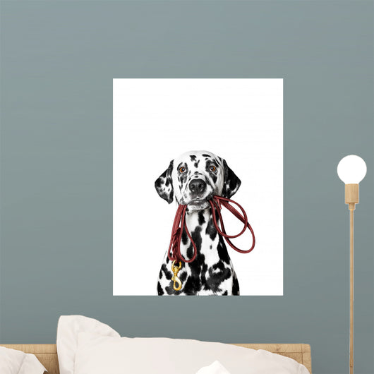 Dalmatian Is Holding Leash Wall Decal