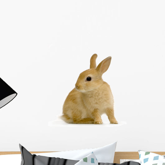 Lapin Sur Fond Blanc Wall Decal