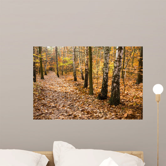 Leafy Forest Path Wall Decal
