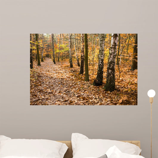 Leafy Forest Path Wall Decal