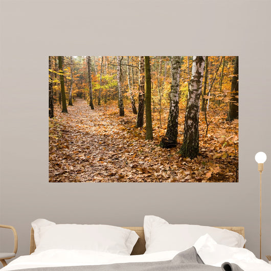Leafy Forest Path Wall Decal
