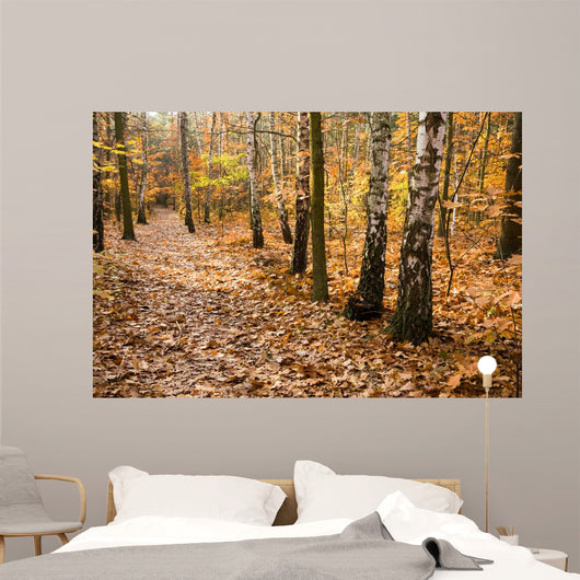 Leafy Forest Path Wall Decal