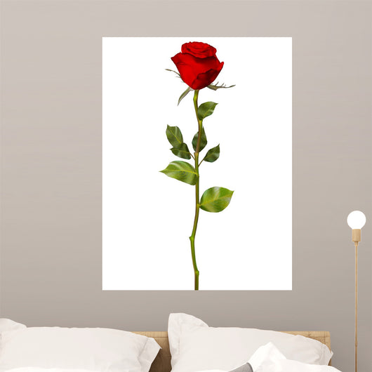 Red Rose White Eps Wall Decal