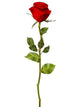 Red Rose White Eps Wall Decal