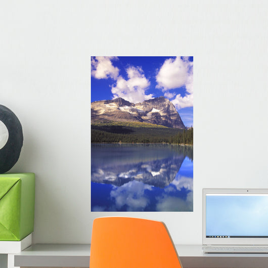 Beautiful Mountain Reflection Wall Decal