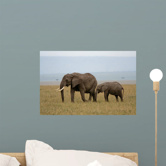 Elephant Mother and Calf Wall Decal