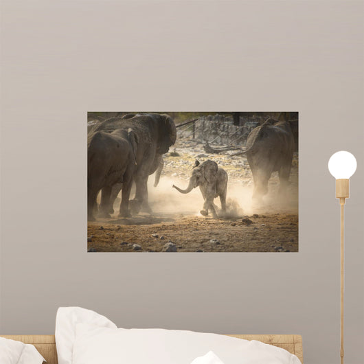 Newborn Baby Elephant Wall Decal
