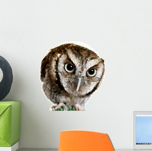Wise Owl Wearing Glasses Wall Decal