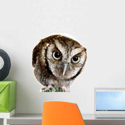 Wise Owl Wearing Glasses Wall Decal