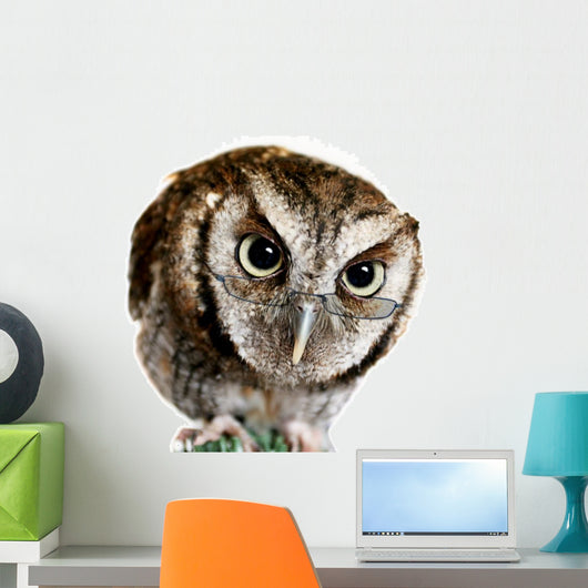 Wise Owl Wearing Glasses Wall Decal