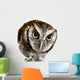 Wise Owl Wearing Glasses Wall Decal