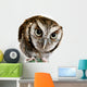 Wise Owl Wearing Glasses Wall Decal
