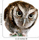 Wise Owl Wearing Glasses Wall Decal