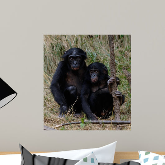 Siblings Wall Decal