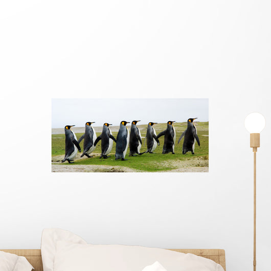 8 Marching King Penguins Wall Decal Panoramic Wall Decal