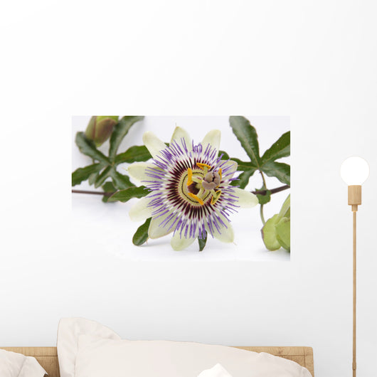 Passion Flower Blossom White Wall Decal