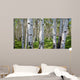 Birch Forest Panorama Wall Decal