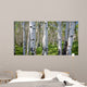 Birch Forest Panorama Wall Decal
