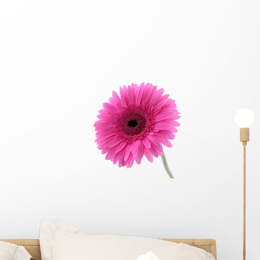 Pretty Pink Wall Decal