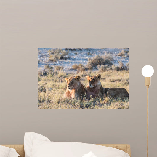 Lion Group Etosha Wall Decal