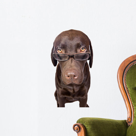 Clever Looking Dog Looking Wall Decal