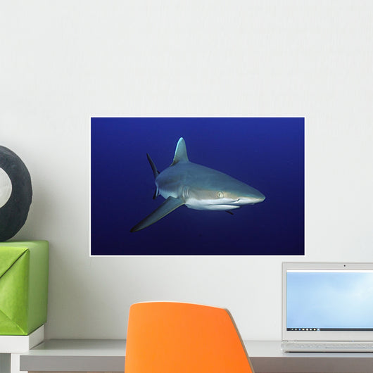 Grey Polynesian Shark Wall Decal