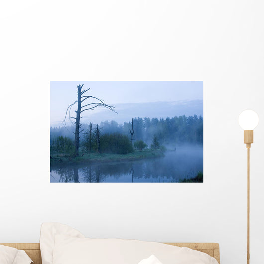Early Morning Fog under Wall Decal