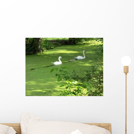 Swans Wall Decal