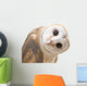 Curious Barn Owl Wall Decal
