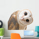 Curious Barn Owl Wall Decal
