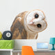 Curious Barn Owl Wall Decal