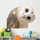 Curious Barn Owl Wall Decal