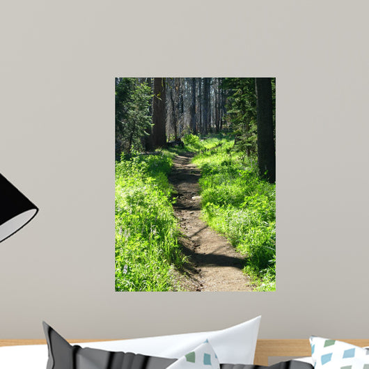 Trail through Woods Wall Decal