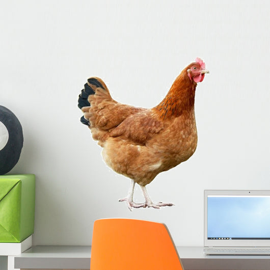 Chicken Wall Decal