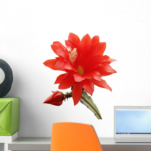 Blooming Orchid Cactus Wall Decal