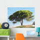 Algarve 2 Wall Decal