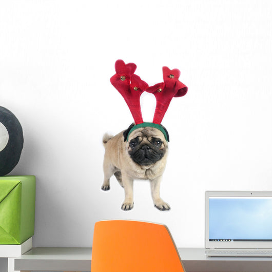Christmas Pug Dog Wearing Wall Decal