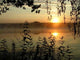 Dawn Summer Morning Lake Wall Decal