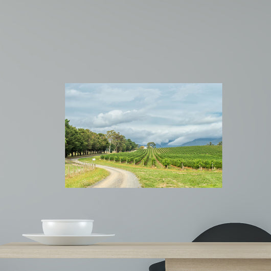 Vineyards February 19 2016 Wall Decal