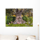 Talking Tree with Happy Wall Decal