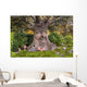Talking Tree with Happy Wall Decal