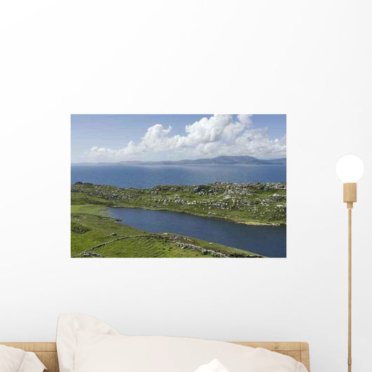 From Sheeps Head Wall Decal